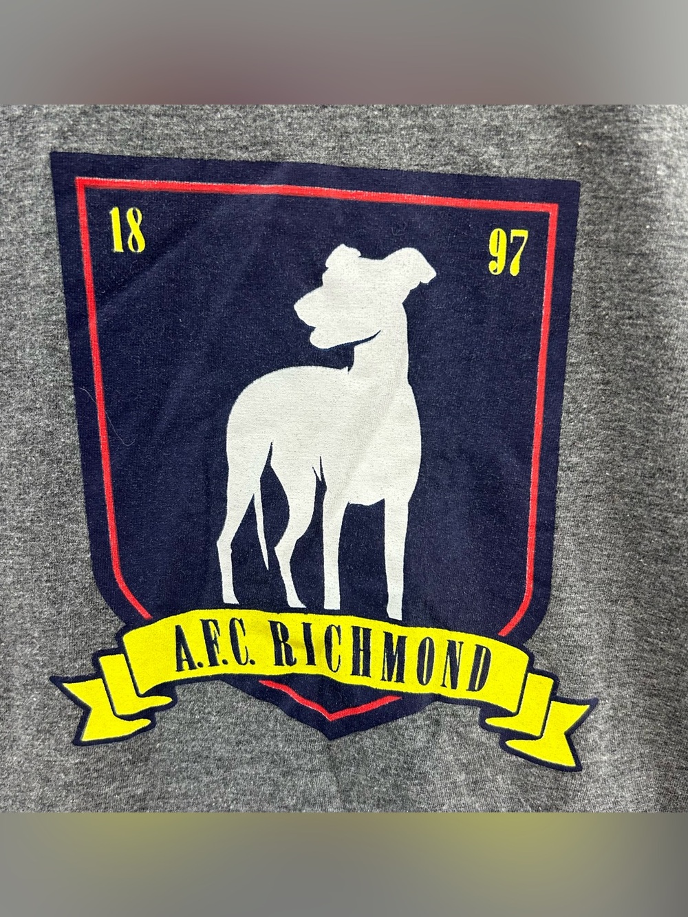 Ted Lasso Shirt Mens L Blue Cotton AFC Richmond Soccer 3/4 Sleeves Jerry Leigh - Picture 2 of 9